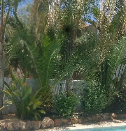 Amber לימסול